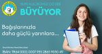 Ankara Atat�rk Lisesi Derne�i